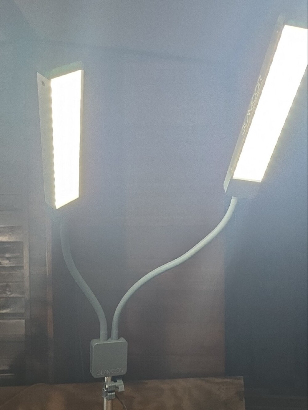 Adjustable Dual-Head LED Work Light - Silver - Picture 2 of 5